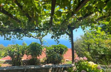 Om Living Pelion - Photo 41