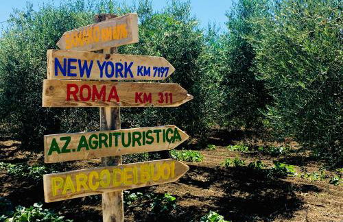 Az. Agr. Parco dei Buoi - Foto 3