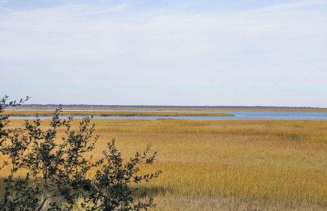 Stunning Marsh & Water Views in This Completely Renovated Three Bedroom Home - Foto 30