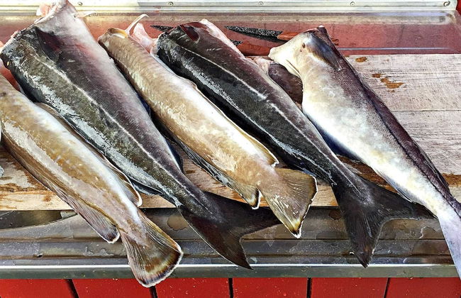 Holiday Home in AverÃ¸y - Foto 22