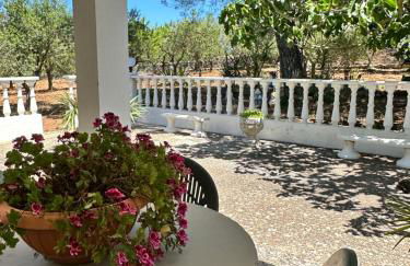 Villa Ninetta - Foto 19