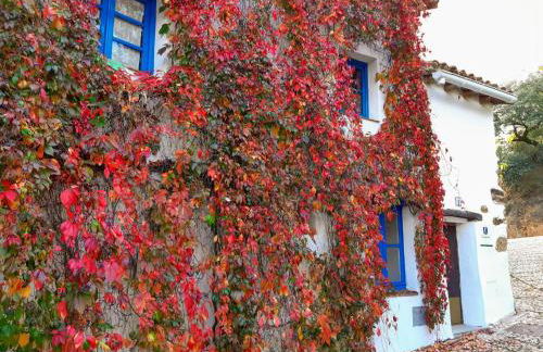 Casita Collado 1 - Foto 1