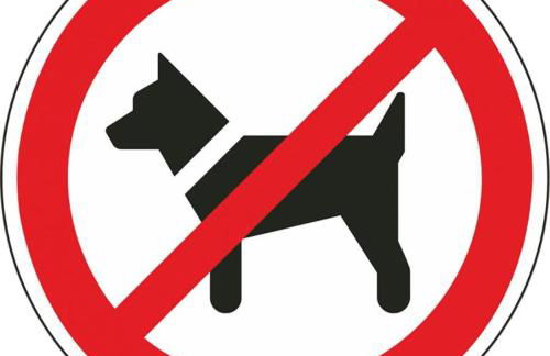 Ferienwohnungen Siebenlehn am Romanus Freibad - Foto 65