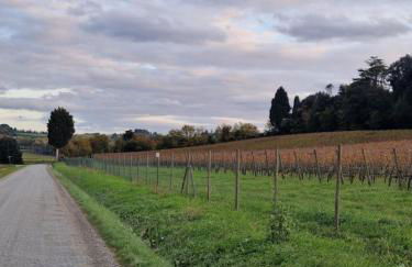 La Casa del Borgo - Foto 61