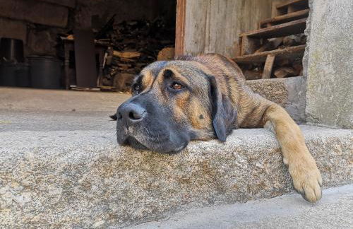 Quinta Barqueiros D'Ouro - Casa da Música - Photo 37