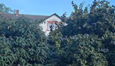 Landzeit Niedergräfenhain - Foto 5