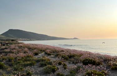 Le Pavoncelle - Foto 20