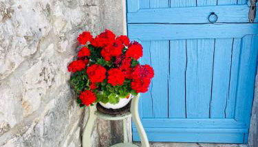 Authentic stone house Miro - Foto 5