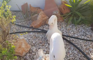 Haraki Mare Studios beach front - Foto 24