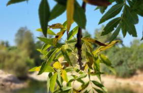 Les Valletes - Foto 21