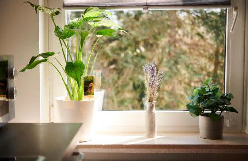 Lichtdurchflutende Wohnoase-Stilvoll-ruhig-kostenloser Parkplatz- 24-7 Self Check-in, bis zu 5 Personen, sehr geräumig - Foto 16