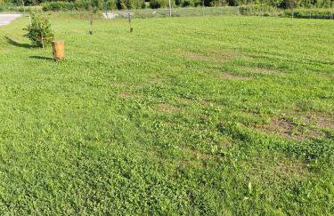 Zeleni raj - Foto 33