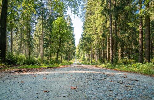 Ferienwohnung Heinzebank - Foto 17