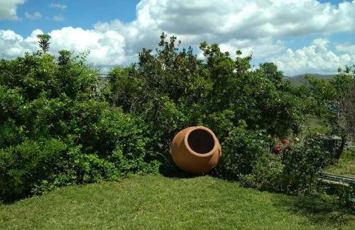 Κτήμα Κουρλή - Photo 25