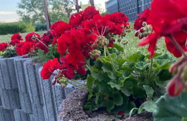 Schöne große Ferienwohnung im Mittelrheintal nahe Loreley - Photo 42