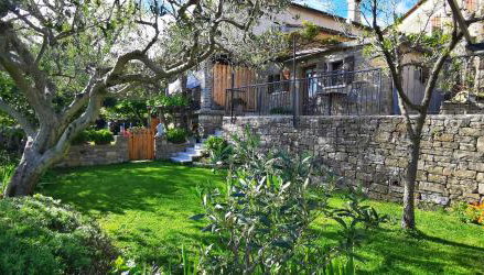 Studio Apartment Belvedere - Foto 2, Garden