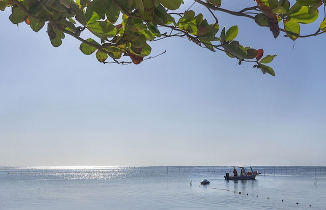 Three Bedroom Condo Steps From the Beach - Photo 20