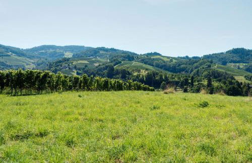 Haus Bachmatt - Foto 14