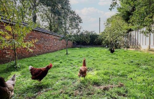 Swallow's Nest - Photo 21