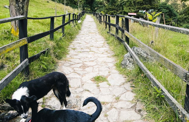 Trekking al Canyon del Combeima e Casa Loma - Foto 3