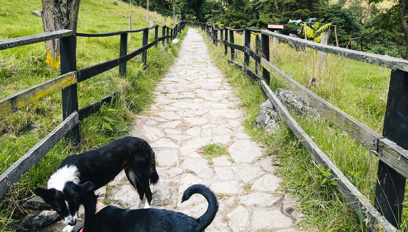 Randonnée vers le canyon de Combeima et Casa Loma