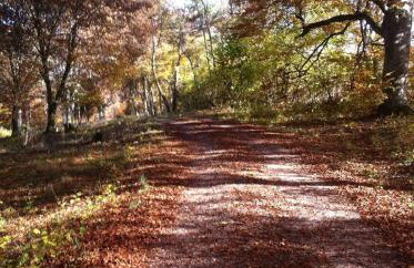 Ferienhaus Bruckner Hayingen Lauterdörfle - Photo 26