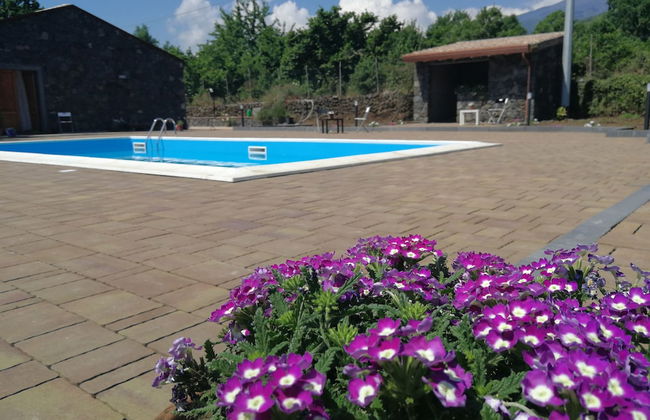 Viola nel Parco - Foto 44