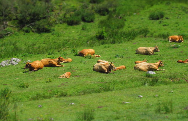 Senderismo por el Parque Natural de Somiedo - Foto 1