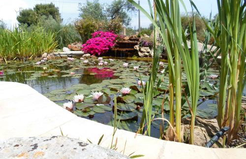 Villa Martina nel Salento - Foto 35