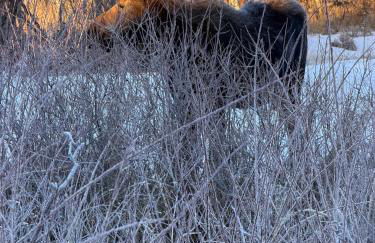 Alpine Escape Luxury Retreat, Hot Tub, Walkable, Mountain Views, 3 King Beds - Foto 54