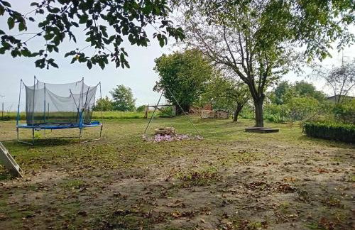 Agroturystyka Zielony Zakątek - Foto 61