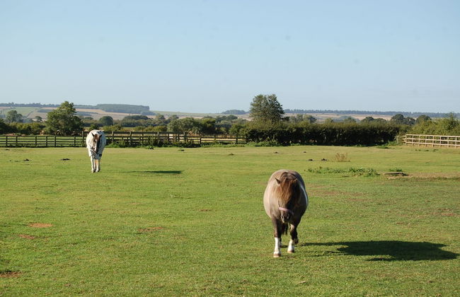 THE OLD Cart House - Foto 34