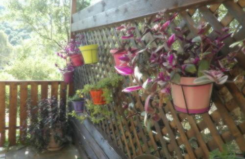 Sminos Farm House E4 path, Γυθειο - Foto 22