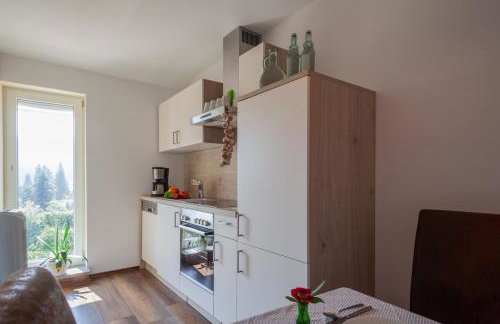 Ferienwohnungen Ludwigsthal - Foto 11