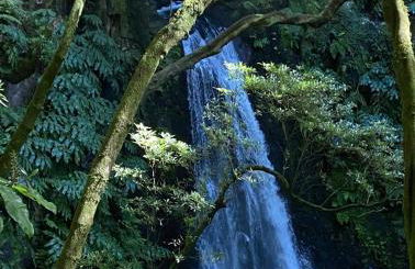 Água e Sal - Seafront House, with Garden and independent Suíte. - Photo 54