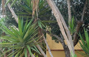 Case dell' Acqua - Foto 43