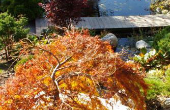 Panoramablick - Foto 35