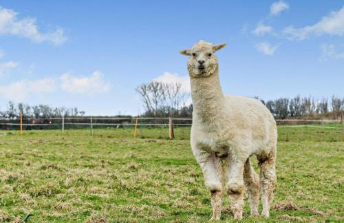 5 Bed in Ilfracombe oc-barlc - Photo 25