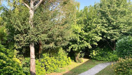 Villa arborée aux Portes de Paris proche Stade de France, Zenith, Le Bourget, CDG, Parc Asterix - Foto 2, Garden
