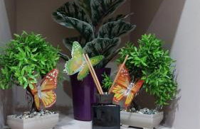 Speranza's Sweet Home - Foto 30