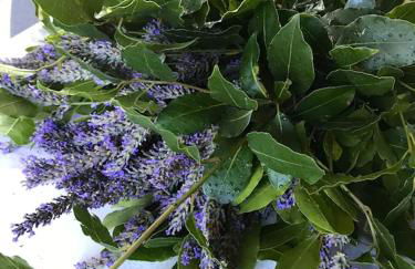 Location chaleureuse à Orgnac-l'Aven avec piscine partagée - Foto 15