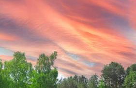 Drewniany Domek w Zakątku Andrzeje Śniczany 18 - Photo 76