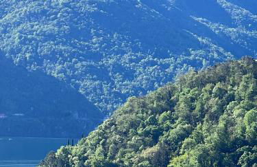 Antoni's Place - Foto 35