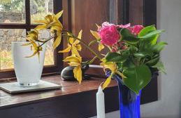 Casa Palmera - Photo 27