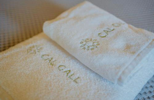 CAL GALL rural Cerdanya - Foto 39