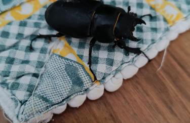 Casa do Forno FR - Foto 34