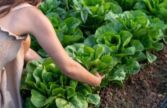 Villa Anciletta - Foto 33