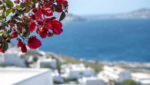 Amelie Suites Mykonos - Foto 4