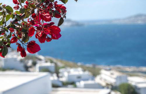 Amelie Suites Mykonos - Foto 4