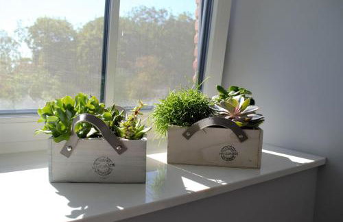 Reetdachhaus Nordstern - Photo 28